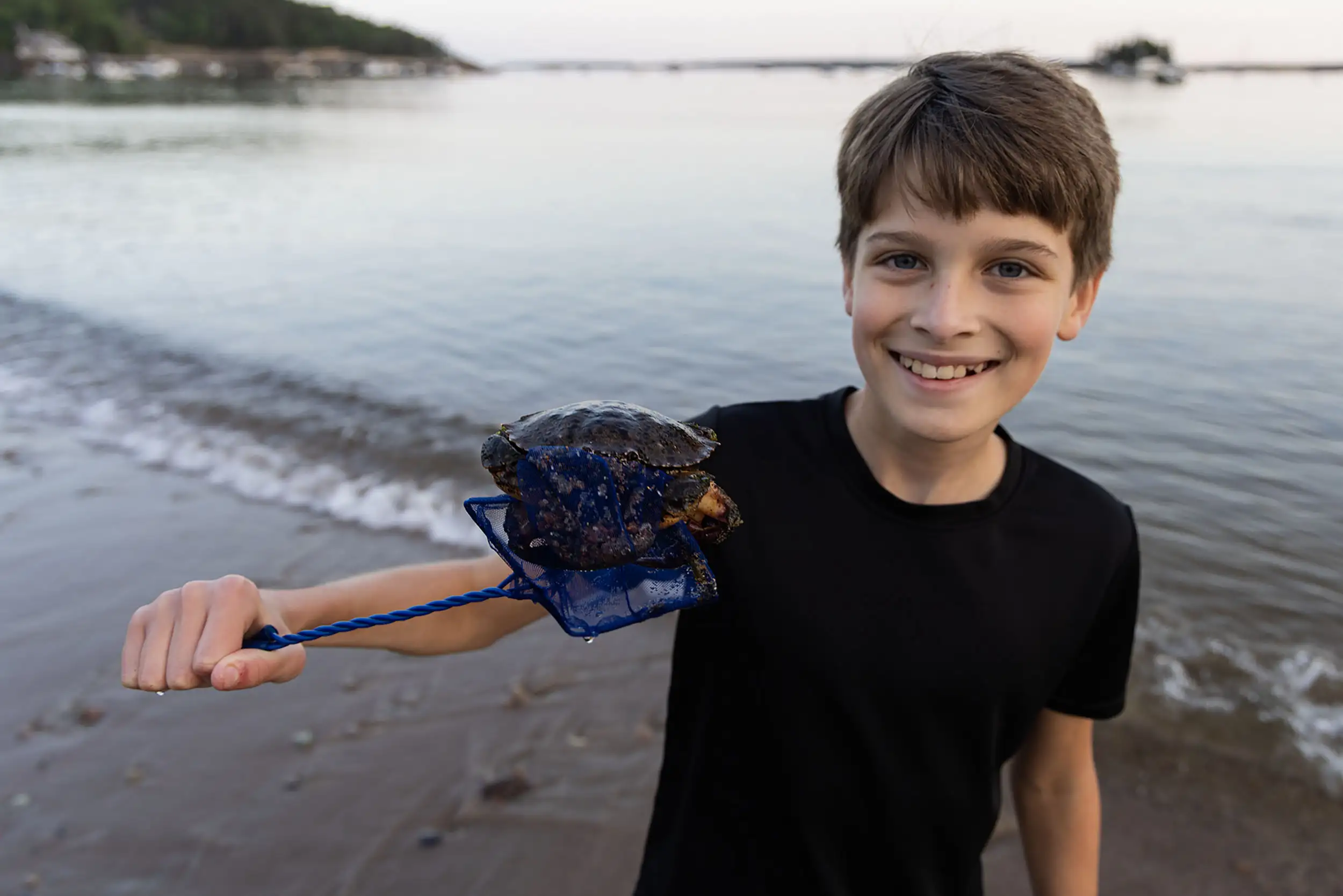 boy-holding-crab-with-net Boy smiling while he holds up a crab with a small net